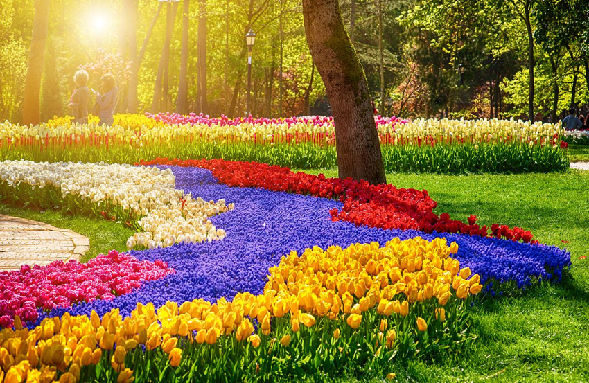 Emirgan Park mùa hoa tulip 2026 -  Thiên đường sắc xuân Istanbul tháng 4 