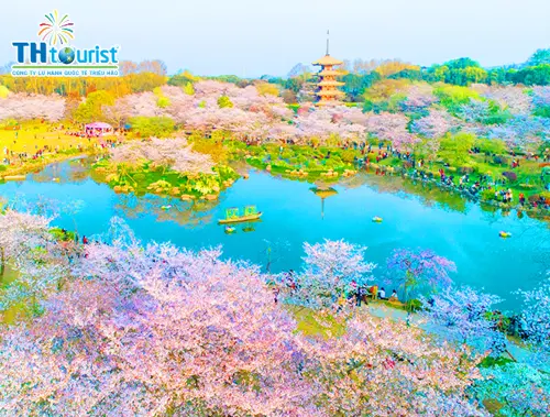 Du Lịch Trung Quốc: Vũ Hán – Giang Tây – Vọng Tiên Cốc (2025)