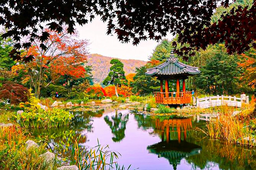 Tour Hàn Quốc Giá Rẻ: Bí Quyết Săn Deal Hot Nhất 2025 Từ Triều Hảo