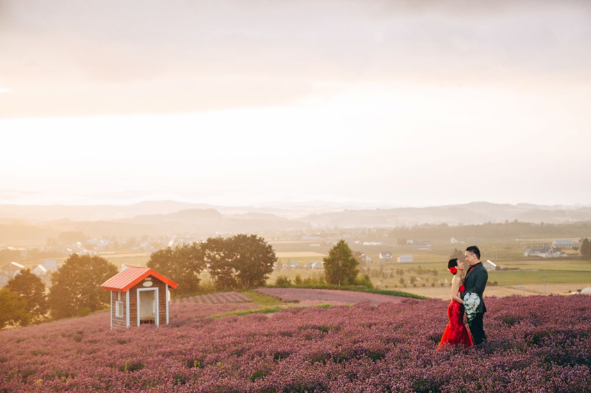 Kinh Nghiệm Du Lịch Hokkaido Mùa Hè 2025: Mê Mẩn Cánh Đồng Hoa Oải Hương Tím Ngát