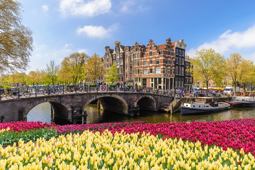 Du lịch Châu Âu 2026  – Trải nghiệm mùa hoa tulip đẹp nhất mùa xuân Amsterdam
