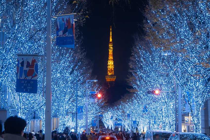 Tokyo Illumination mùa đông 2025 | Khám phá ánh sáng kỳ diệu của Tokyo!