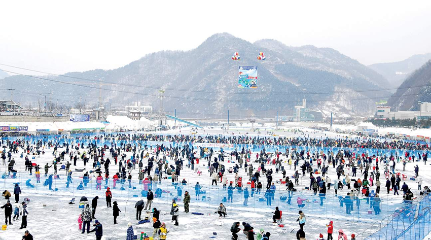 Ice Fishing Hwacheon – Lễ hội bắt cá trên băng mùa đông Hàn Quốc 2025